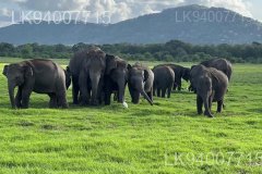 Horowpathana National Park