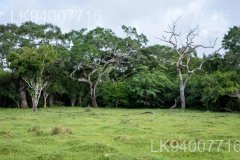Somawathiya National Park