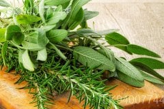 Rosemary