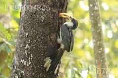 Horagolla National Park