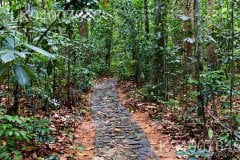 Horagolla National Park