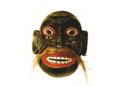 Vedi Sanniya