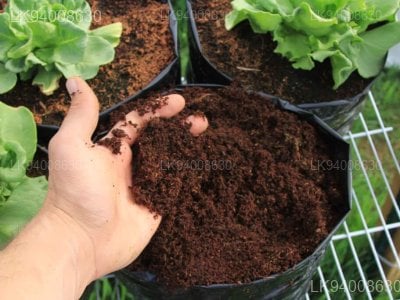 Coco Peat