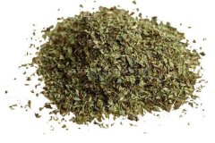 Origanum