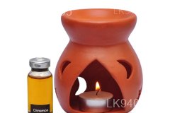Ceylon Cinnamon Bark Oil