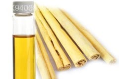 Ceylon Cinnamon Bark Oil
