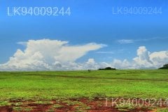 Ussangoda Plains