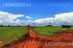 Ussangoda Plains