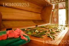 Ayurveda Herbal Steam Bath