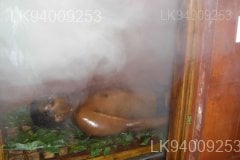 Ayurveda Herbal Steam Bath