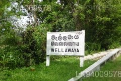 Wellawaya