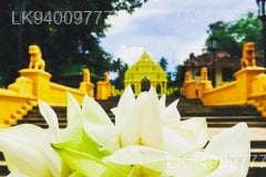 Muthiyanganaya