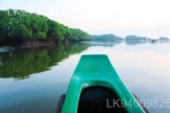 Kottukal Lagoon