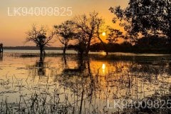 Kottukal Lagoon