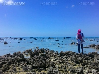 Jaffna Causeway And Chatty Beach