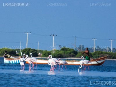 Jaffna Causeway And Chatty Beach