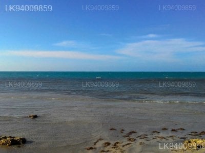Jaffna Causeway And Chatty Beach