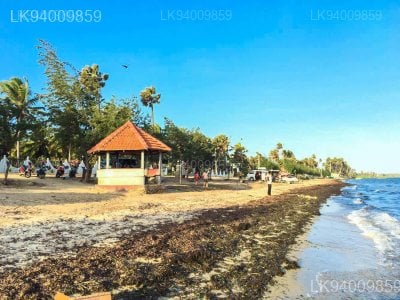 Jaffna Causeway And Chatty Beach