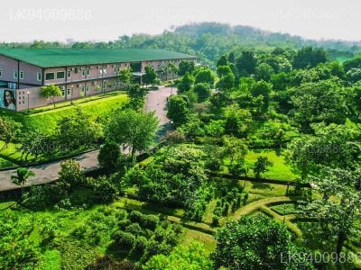 Ganewatta Medicinal Plant Garden