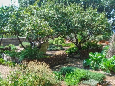 Ganewatta Medicinal Plant Garden