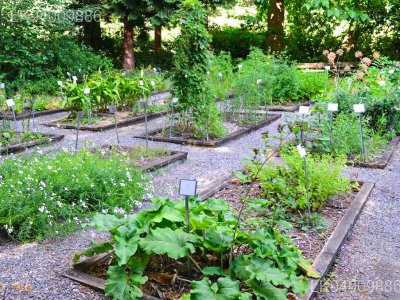 Ganewatta Medicinal Plant Garden