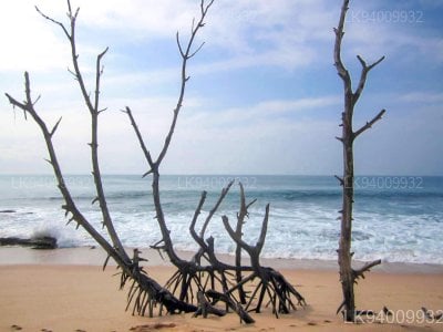 Calido Beach