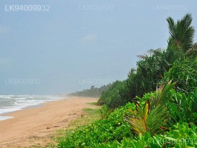 Calido Beach