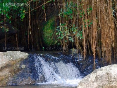Asupini Ella Falls