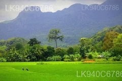 The village of Gala Muduna