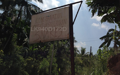 Snake Farm (Telijjawila)