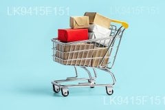 Effective & Secured Online Shopping Cart Services