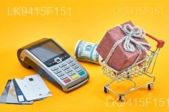 Effective & Secured Online Shopping Cart Services