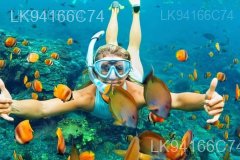 St. Anne's Reef