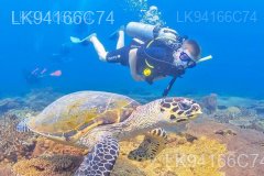 St. Anne's Reef