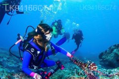 St. Anne's Reef