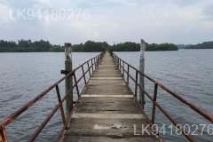 Madhuwa Bridge