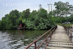 Madhuwa Bridge