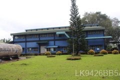 kalubowitiyana-tea-factory