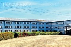 kalubowitiyana-tea-factory