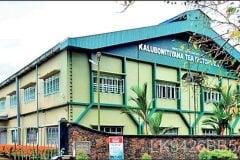 kalubowitiyana-tea-factory