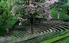 Peradeniya University