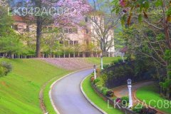 Peradeniya University