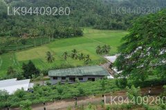Etambagahawila Estate