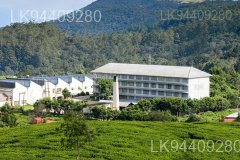 Etambagahawila Estate