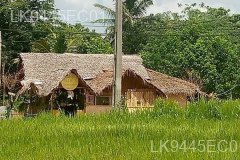 Kimbissa City