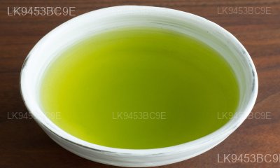 Sencha