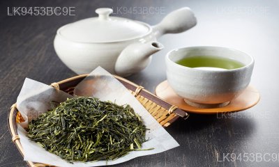 Sencha