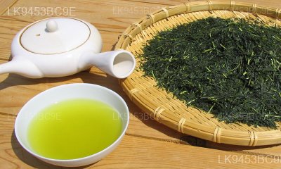 Sencha
