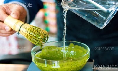Sencha