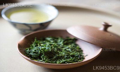 Sencha